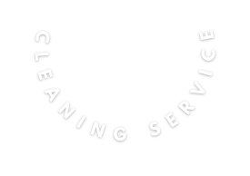 CLEANING service